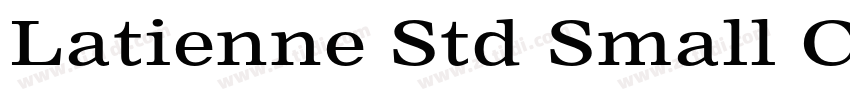 Latienne Std Small C字体转换